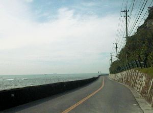 国道247号　師崎　羽豆岬の西