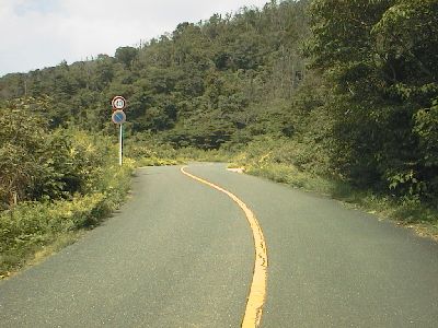蔵王山ドライブウェイ　南口道路