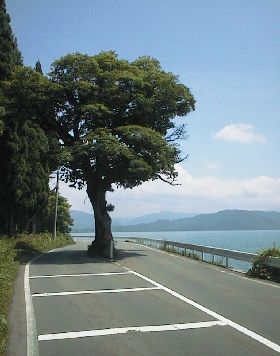 田沢湖北岸