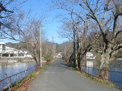 三島湖の道