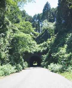戸面蔵王林道の森の中のトンネル