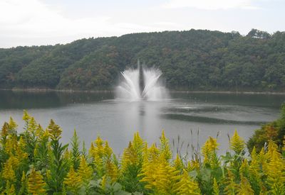 ハイヅカ湖の噴水