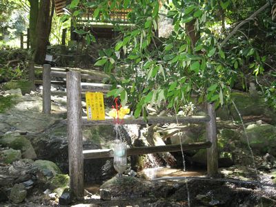 桂の滝の水