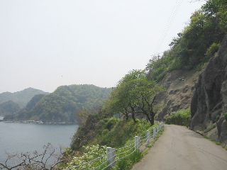 三尾御崎林道　余部　海沿いの崖の上
