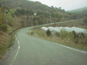 農地開発幹線道路