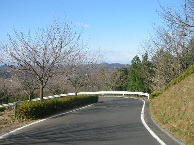 富谷山ふれあい公園への道