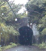 開聞山麓自然公園のトンネル　白い点は雨滴です