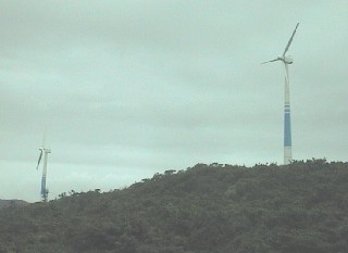 野間岬ウィンドパークの風車