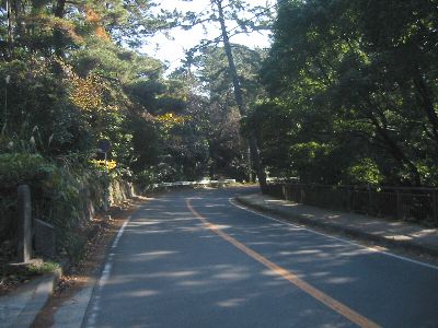 神奈川県道739号真鶴半島公園線　高浦入口付近