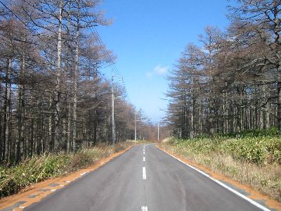 チェリーパークラインの北の道　群馬県嬬恋村