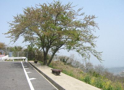 生駒山南の展望所