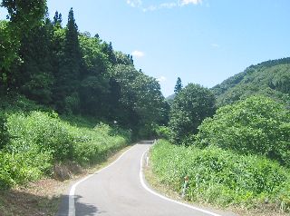 新潟県道97号 飯山斑尾新井線　樽本