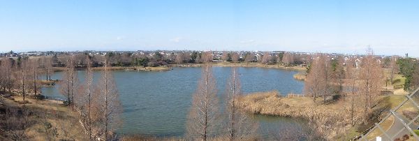 松伏総合公園の展望風車より望む池