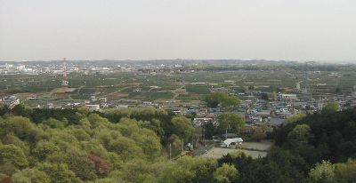 桜山展望台から茶畑