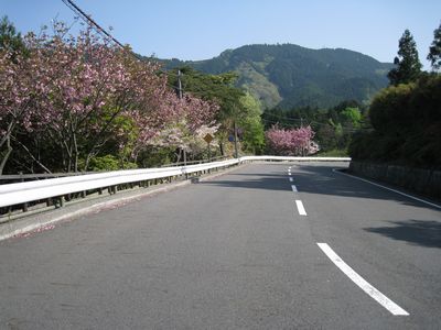 比叡山ドライブウェイ　登仙台の北