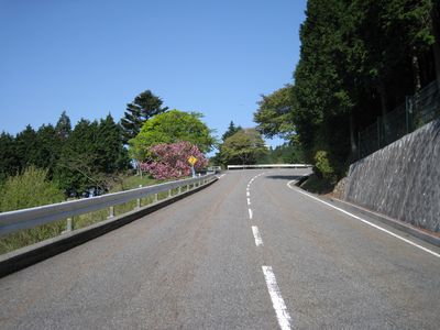 比叡山ドライブウェイ　山頂への支線