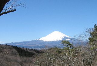 足柄万葉公園より望む富士山