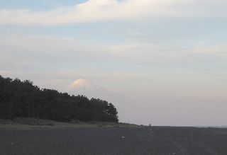 三保の松原越しの富士山