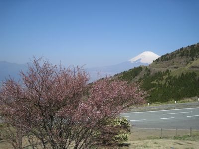 箱根芦ノ湖展望公園より望む富士山