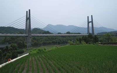 東名足柄橋