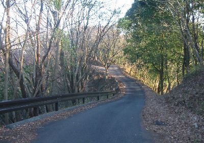 鎌倉山への道
