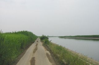 谷中湖　池内水路の東岸の道