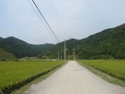 蒲生田岬への道　蒲生田の未舗装区間