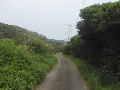 蒲生田岬への道　岬の手前