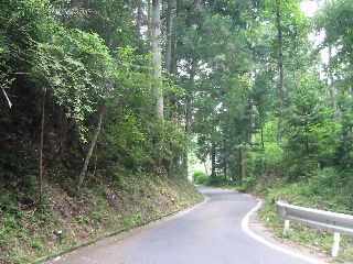 徳島県道7号美馬塩江線　相栗峠の南