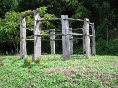 桜町遺跡　環状木柱列
